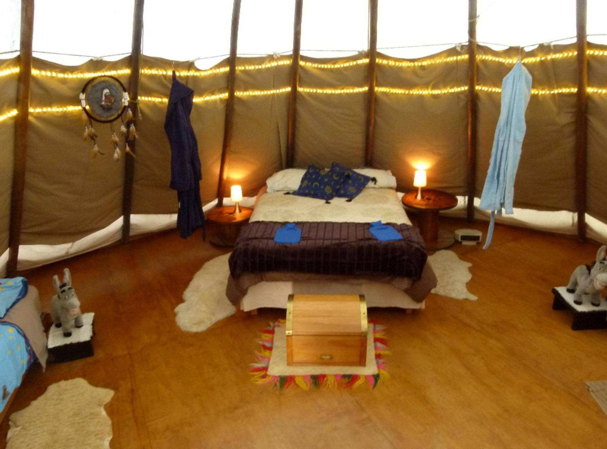 Wacky Stays - Unique Farm-Stay Glamping Rentals, Free Animal Feeding Tours Кайкоура Экстерьер фото