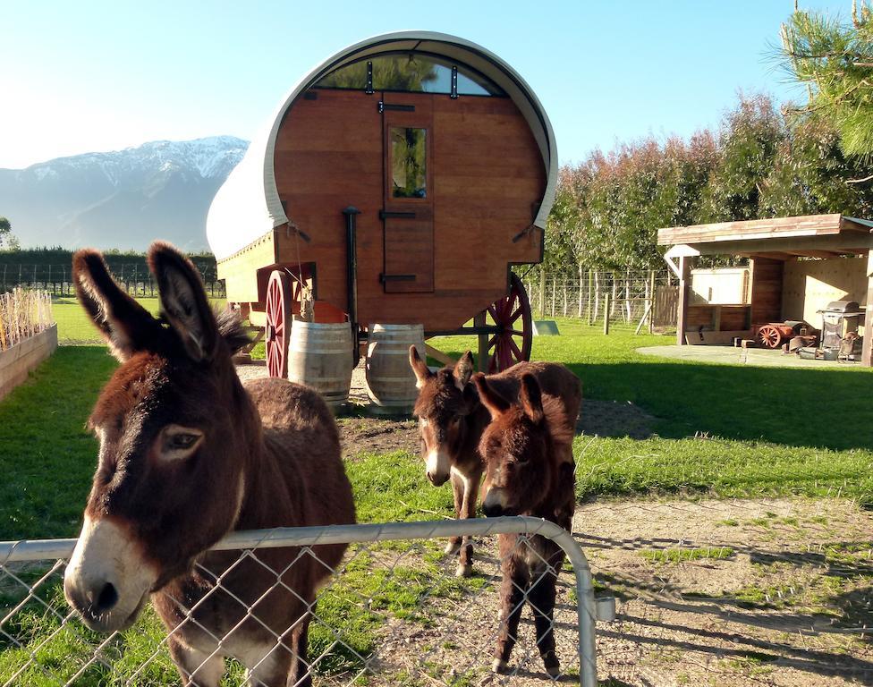 Wacky Stays - Unique Farm-Stay Glamping Rentals, Free Animal Feeding Tours Кайкоура Экстерьер фото