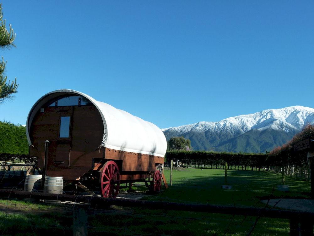 Wacky Stays - Unique Farm-Stay Glamping Rentals, Free Animal Feeding Tours Кайкоура Экстерьер фото