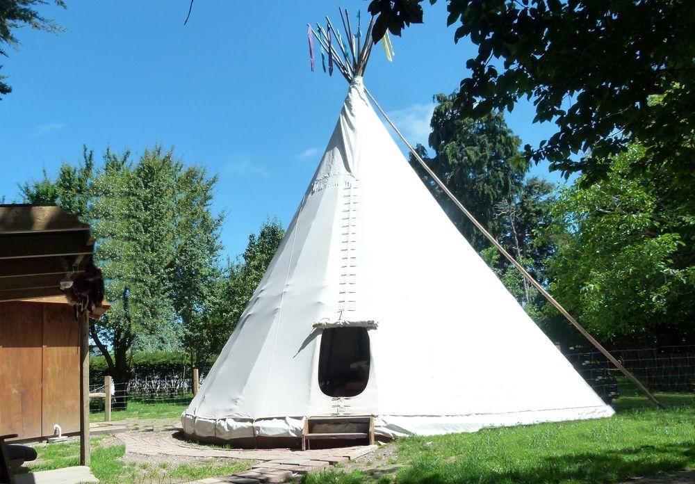 Wacky Stays - Unique Farm-Stay Glamping Rentals, Free Animal Feeding Tours Кайкоура Экстерьер фото