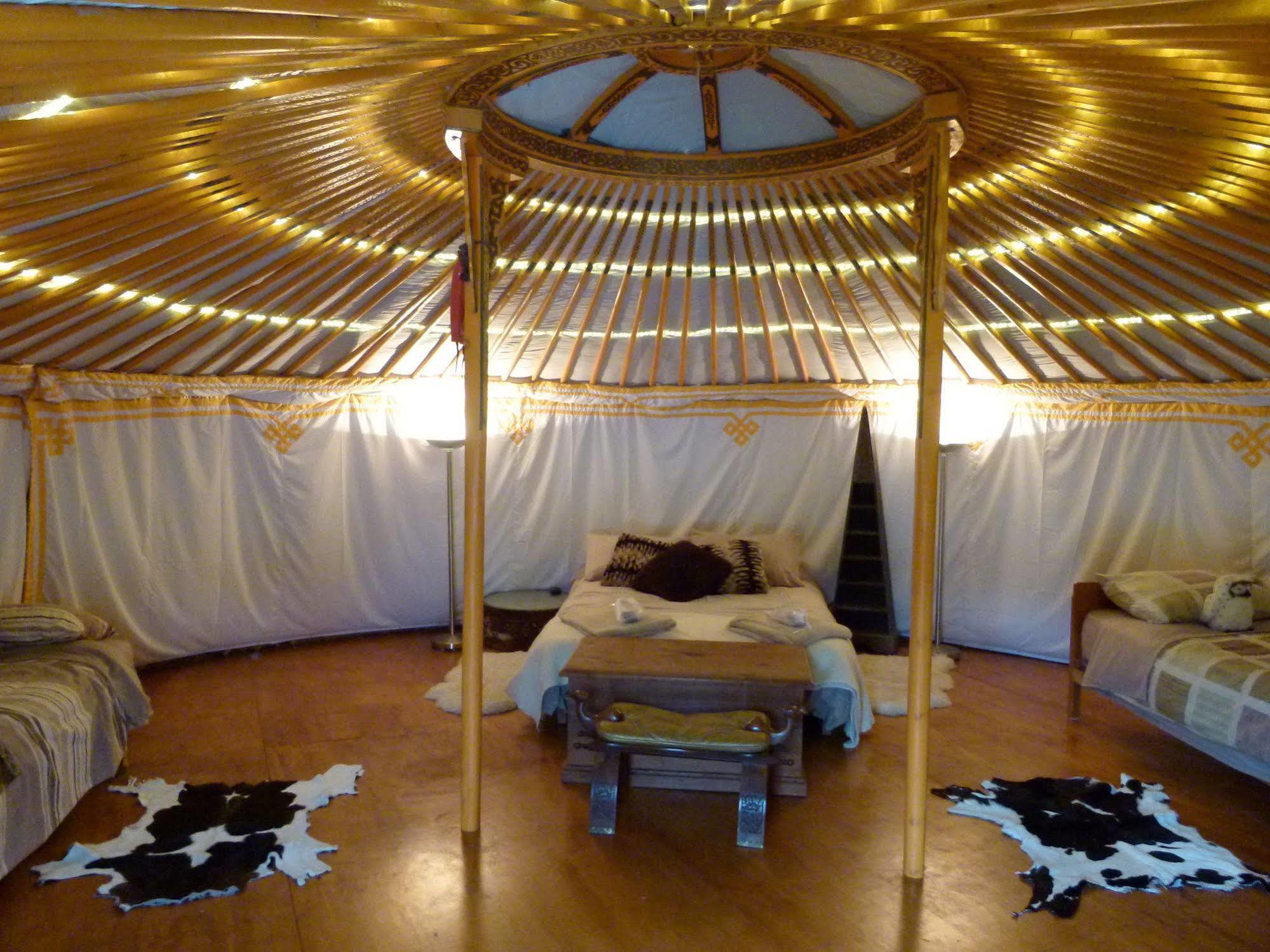 Wacky Stays - Unique Farm-Stay Glamping Rentals, Free Animal Feeding Tours Кайкоура Экстерьер фото