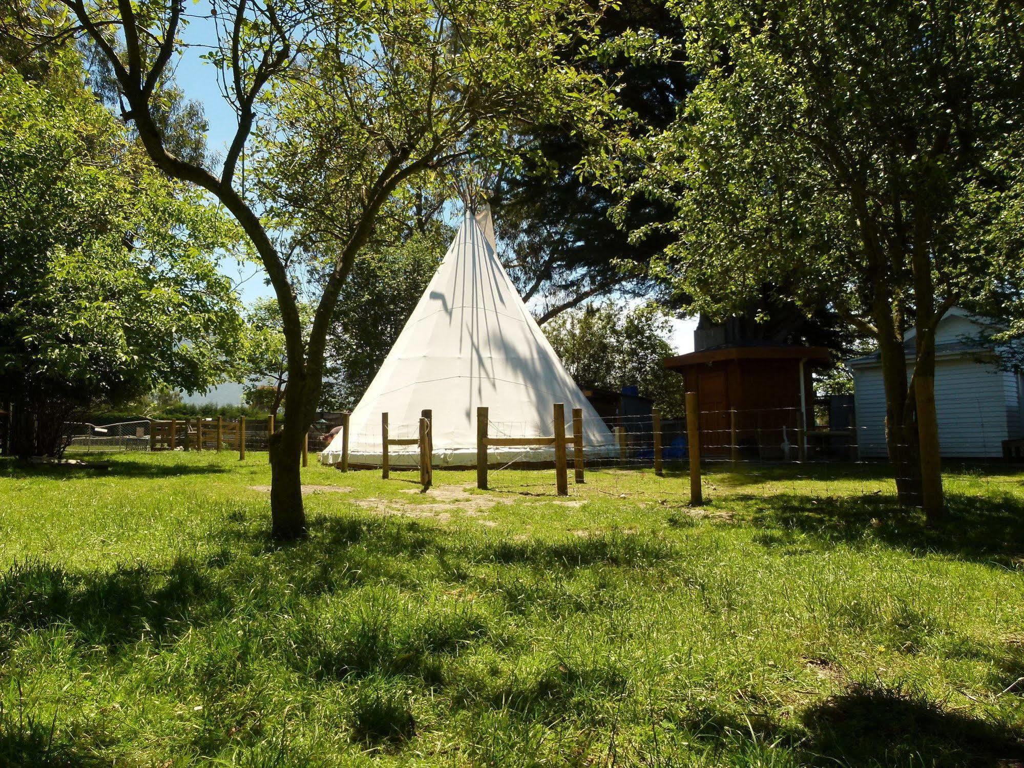 Wacky Stays - Unique Farm-Stay Glamping Rentals, Free Animal Feeding Tours Кайкоура Экстерьер фото
